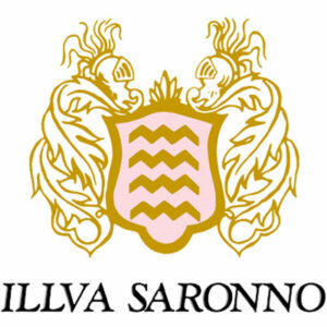 ILLVA SARONNO HOLDING SPA